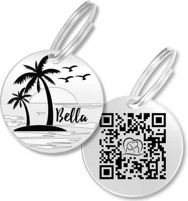 Show full view: PawFurEver Personalized Engraved with QR Code Dog & Cat Tag, Silver, Beach slide 1 of 8
