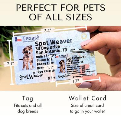 Show full view: PawFurEver Pet ID License-Style Dog Tag & Wallet Card, Alaska slide 4 of 9