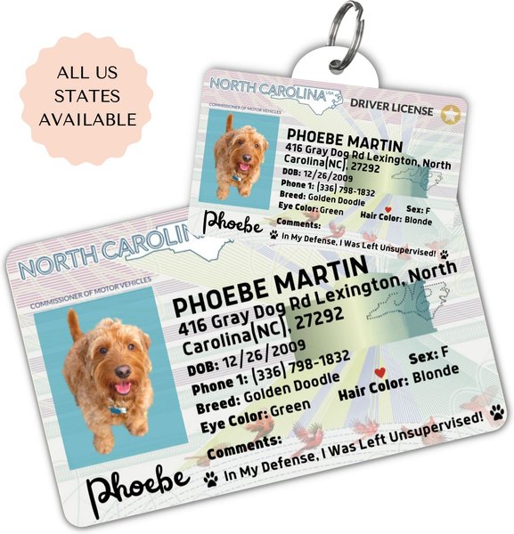 PawFurEver Pet ID License-Style Dog Tag & Wallet Card