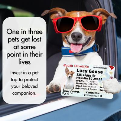 PawFurEver Pet ID License-Style Dog Tag & Wallet Card