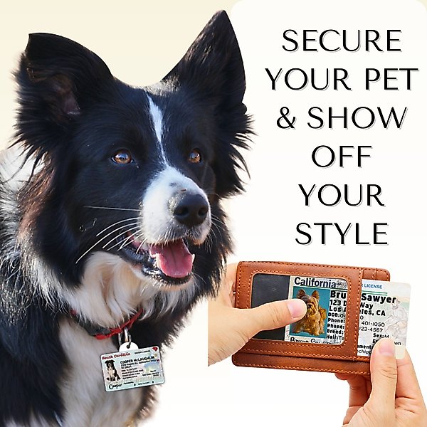 PawFurEver Pet ID License-Style Dog Tag & Wallet Card