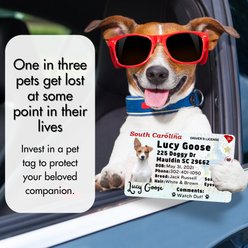 PawFurEver Pet ID License-Style Dog Tag & Wallet Card, Texas slide 2 of 6