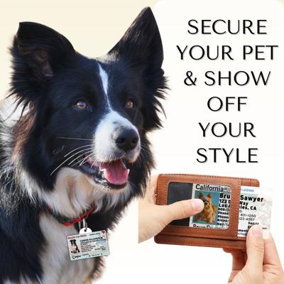 Show full view: PawFurEver Pet ID License-Style Dog Tag & Wallet Card, Texas slide 3 of 9