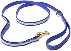PawFurEver Reflective & Waterproof Dog Leash, Blue, 4.25-ft