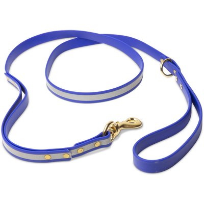 PawFurEver PawFurEver Reflective & Waterproof Dog Leash, Blue, 4.25-ft