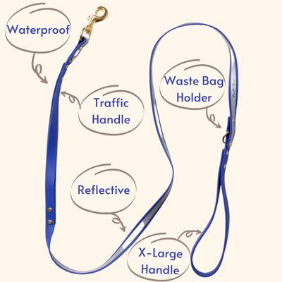 Show full view: PawFurEver Reflective & Waterproof Dog Leash, Blue, 4.25-ft slide 2 of 8