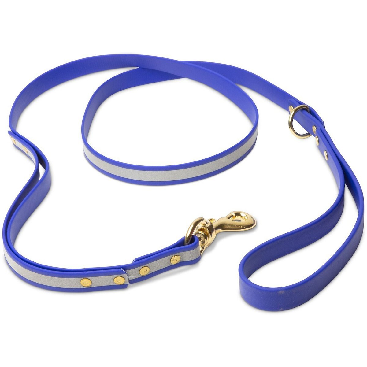 PawFurEver Reflective & Waterproof Dog Leash, Blue, 5.75-ft