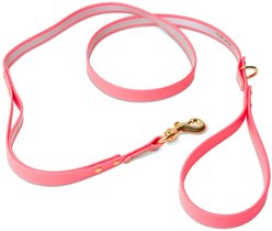 PawFurEver Reflective & Waterproof Dog Leash, Pink, 4.25-ft