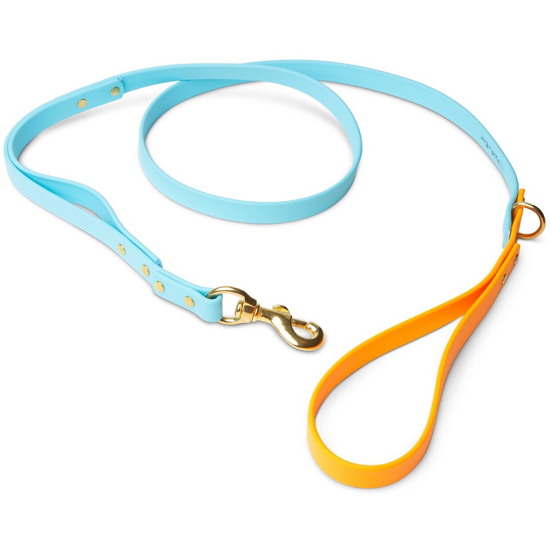 PawFurEver Waterproof Dog Leash, Blue & Orange, 4.25-ft