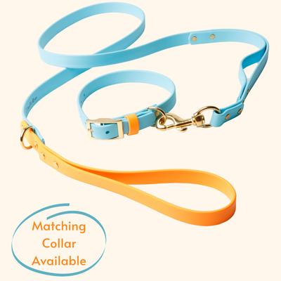 Show full view: PawFurEver Waterproof Dog Leash, Blue & Orange, 4.25-ft slide 3 of 9