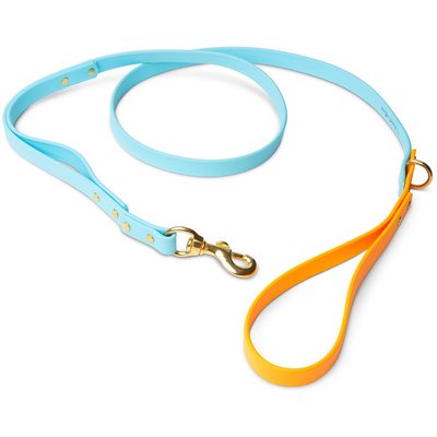 PawFurEver PawFurEver Waterproof Dog Leash, Blue & Orange, 5.75-ft