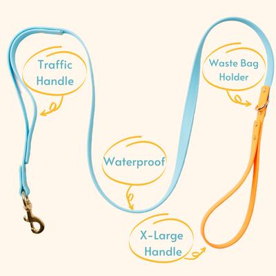 Show full view: PawFurEver Waterproof Dog Leash, Blue & Orange, 5.75-ft slide 2 of 9