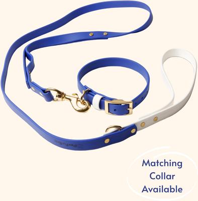 Show full view: PawFurEver Waterproof Dog Leash, Blue & White, 4.25-ft slide 3 of 9