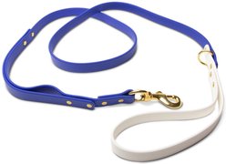 PawFurEver Waterproof Dog Leash, Blue & White, 5.75-ft
