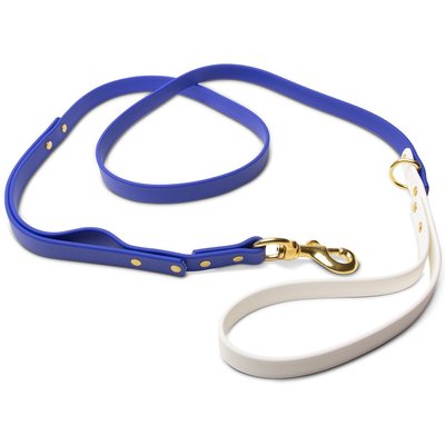 PawFurEver PawFurEver Waterproof Dog Leash, Blue & White, 5.75-ft