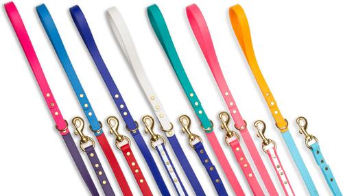 Show full view: PawFurEver Waterproof Dog Leash, Blue & White, 5.75-ft slide 7 of 9