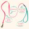 Show in main carousel: PawFurEver Waterproof Dog Leash, Pink & Teal, 4.25-ft slide 3 of 10