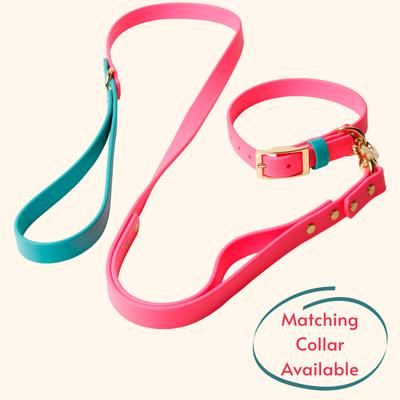 Show full view: PawFurEver Waterproof Dog Leash, Pink & Teal, 4.25-ft slide 4 of 10