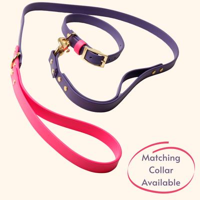 Show full view: PawFurEver Waterproof Dog Leash, Purple & Pink, 5.75-ft slide 3 of 9