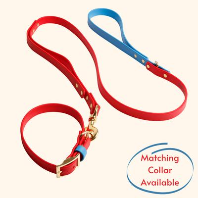 Show full view: PawFurEver Waterproof Dog Leash, Red & Blue, 4.25-ft slide 4 of 10