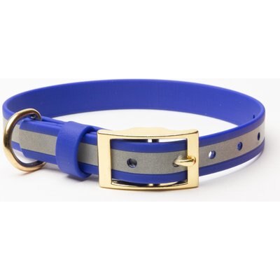 PawFurEver PawFurEver's Waterproof & Odorless Dog Collar, Blue, Medium