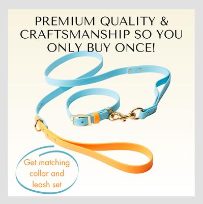 Show full view: PawFurEver's Waterproof & Odorless Dog Collar, Blue & Orange, Large slide 9 of 11