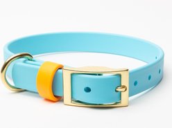 PawFurEver's Waterproof & Odorless Dog Collar, Blue & Orange, Medium