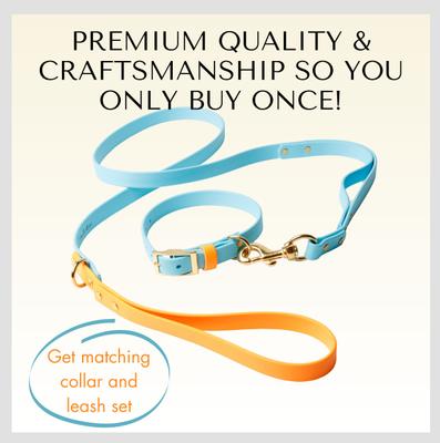 Show full view: PawFurEver's Waterproof & Odorless Dog Collar, Blue & Orange, Medium slide 10 of 12