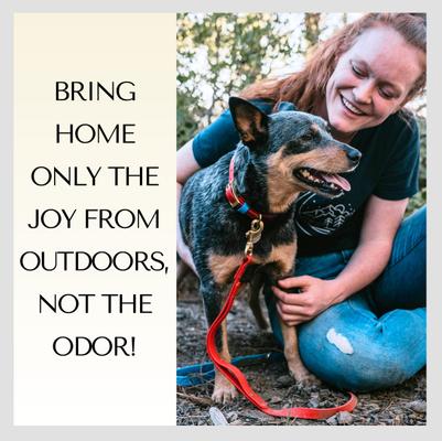 Show full view: PawFurEver's Waterproof & Odorless Dog Collar, Blue, Small slide 3 of 11