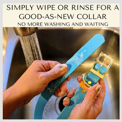 Show full view: PawFurEver's Waterproof & Odorless Dog Collar, Blue, Small slide 4 of 11