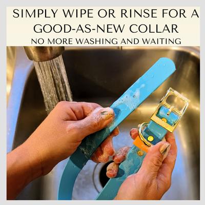 Show full view: PawFurEver's Waterproof & Odorless Dog Collar, Blue & White, Small slide 5 of 12