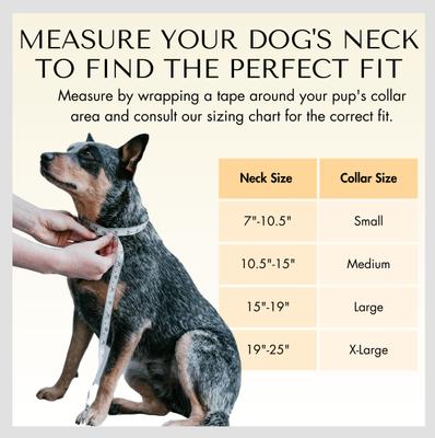 Show full view: PawFurEver's Waterproof & Odorless Dog Collar, Blue & White, Small slide 6 of 12