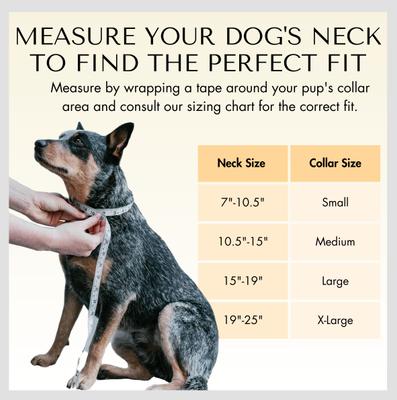 Show full view: PawFurEver's Waterproof & Odorless Dog Collar, Blue, X-Large slide 5 of 11