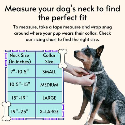 Show full view: PawFurEver's Waterproof & Odorless Dog Collar, Pink, Large slide 3 of 11