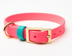 PawFurEver's Waterproof & Odorless Dog Collar, Pink & Teal, Large