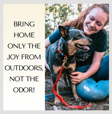 Show full view: PawFurEver's Waterproof & Odorless Dog Collar, Pink & Teal, Large slide 4 of 12