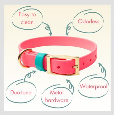 Show full view: PawFurEver's Waterproof & Odorless Dog Collar, Pink & Teal, Large slide 7 of 12