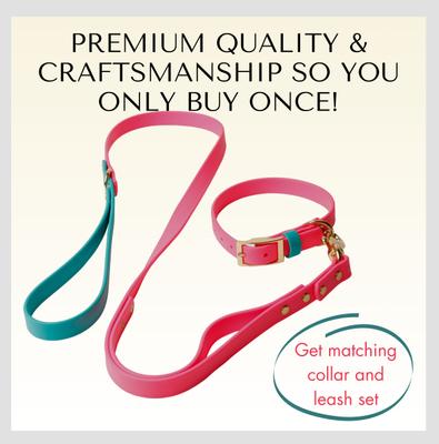Show full view: PawFurEver's Waterproof & Odorless Dog Collar, Pink & Teal, Large slide 10 of 12