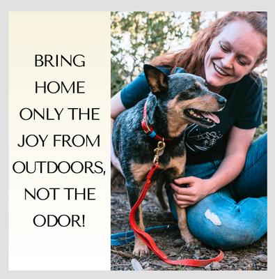 Show full view: PawFurEver's Waterproof & Odorless Dog Collar, Pink & Teal, Medium slide 3 of 11