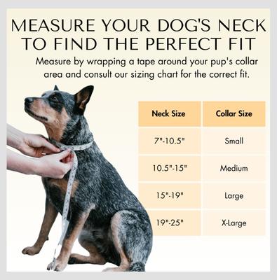 Show full view: PawFurEver's Waterproof & Odorless Dog Collar, Pink & Teal, Medium slide 5 of 11