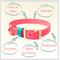 Show in main carousel: PawFurEver's Waterproof & Odorless Dog Collar, Pink & Teal, Medium slide 6 of 11