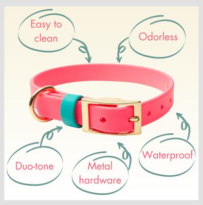 Show full view: PawFurEver's Waterproof & Odorless Dog Collar, Pink & Teal, Medium slide 6 of 11