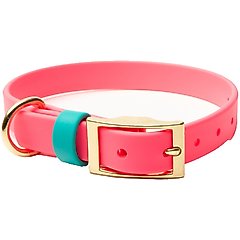 PawFurEver's Waterproof & Odorless Dog Collar, Pink & Teal, Small