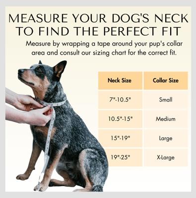 Show full view: PawFurEver's Waterproof & Odorless Dog Collar, Pink & Teal, Small slide 5 of 11