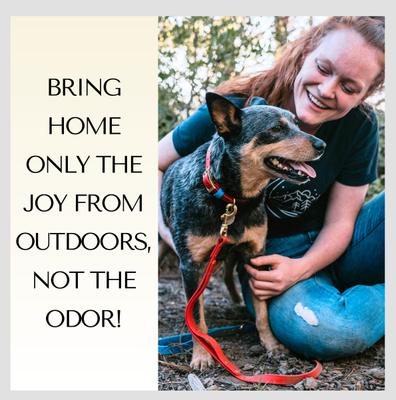 Show full view: PawFurEver's Waterproof & Odorless Dog Collar, Purple & Pink, Large slide 3 of 11