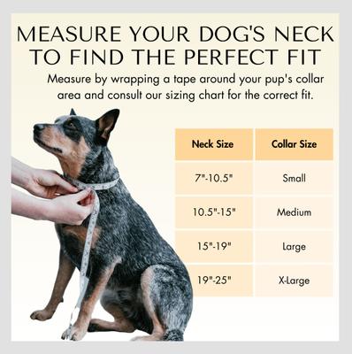 Show full view: PawFurEver's Waterproof & Odorless Dog Collar, Purple & Pink, X-Large slide 6 of 12