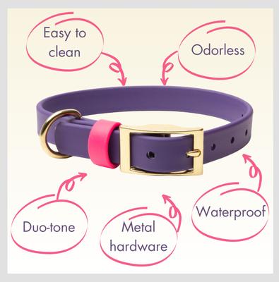 Show full view: PawFurEver's Waterproof & Odorless Dog Collar, Purple & Pink, X-Large slide 7 of 12