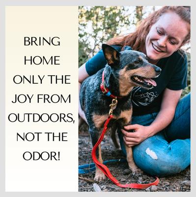 Show full view: PawFurEver's Waterproof & Odorless Dog Collar, Red & Blue, Large slide 3 of 11