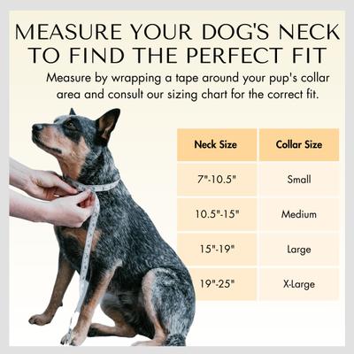 Show full view: PawFurEver's Waterproof & Odorless Dog Collar, Red & Blue, Large slide 5 of 11