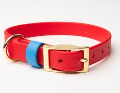 PawFurEver's Waterproof & Odorless Dog Collar, Red & Blue, Medium